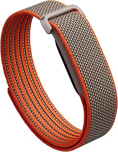 Fitbit Air