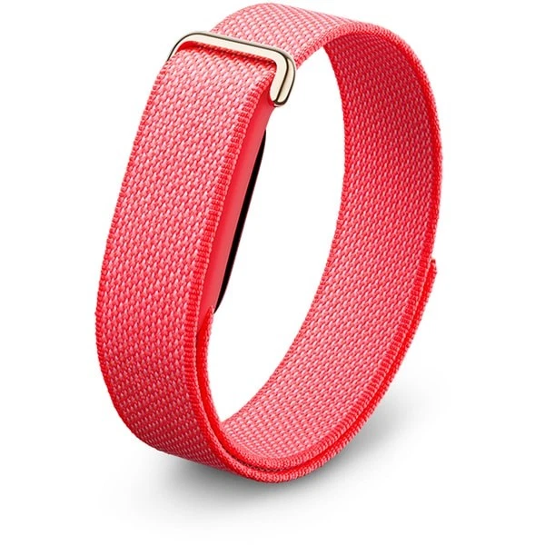 Fitbit Air