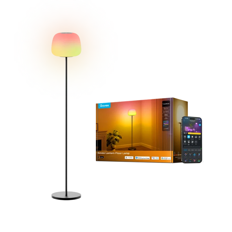 Govee Lantern Floor Lamp