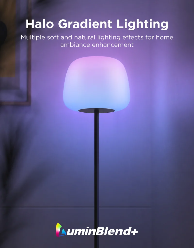 Govee Lantern Floor Lamp - Image 1